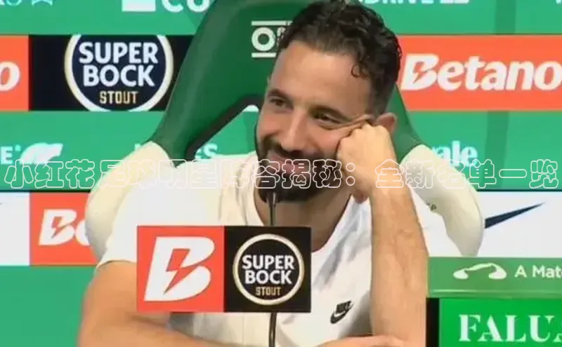 加拿大预测28在线预测官网58同城小红花足球明星阵容揭秘：全新名单一览