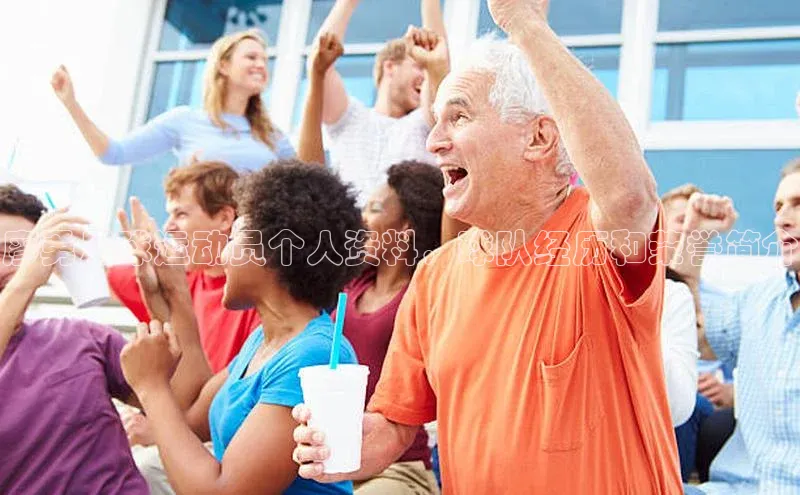 28圈.ccmpc正版阿里尔公司廖勇足球运动员个人资料，球队经历和荣誉简介