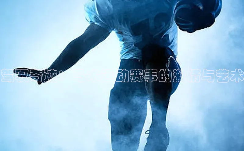 驾驭奇迹：马术运动赛事的激情与艺术