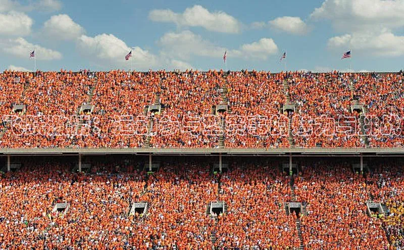 飞跃激情：运动参与型赛事的魅力与挑战