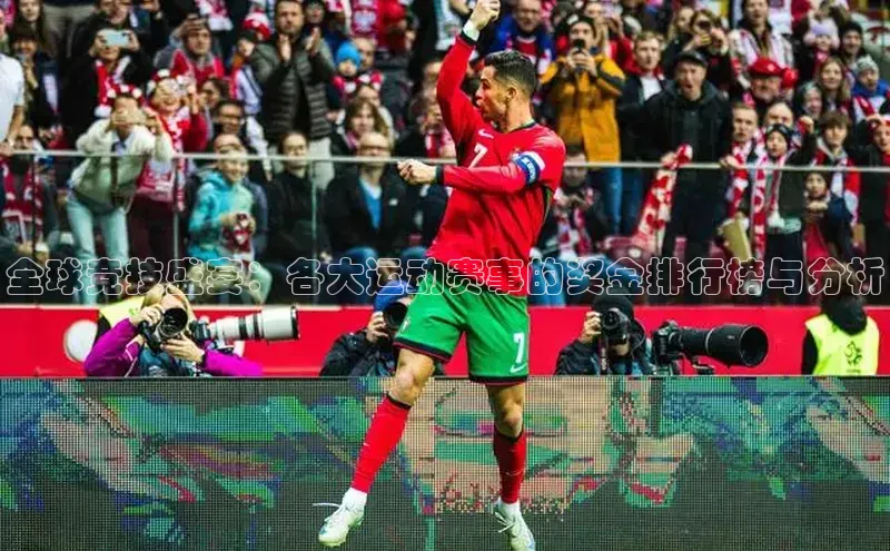 全球竞技盛宴：各大运动赛事的奖金排行榜与分析