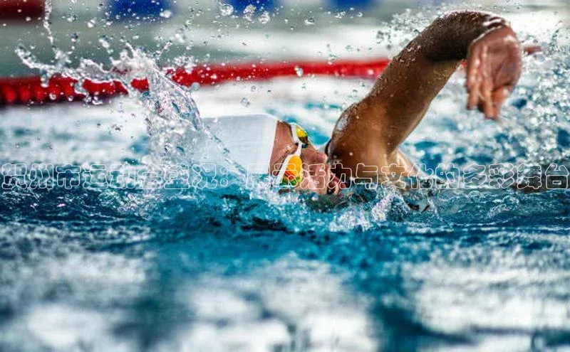 贺州市运动会盛况：展示活力与文化的多彩舞台