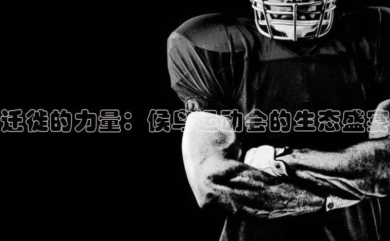 迁徙的力量：候鸟运动会的生态盛宴