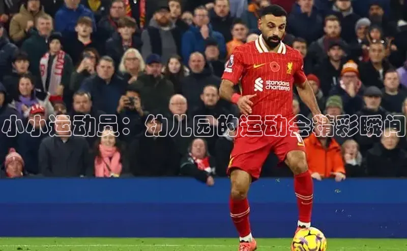 小小运动员：幼儿园的运动会精彩瞬间