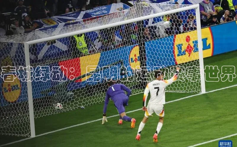 春城绿动：昆明的运动赛事世界