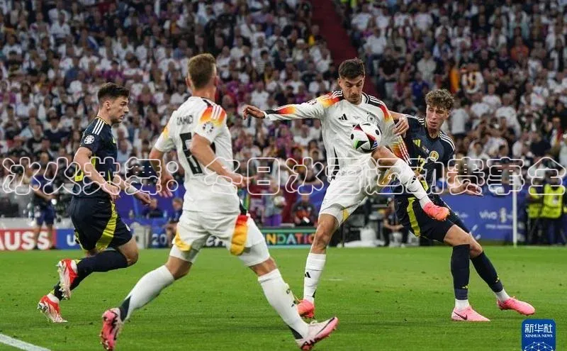 冰火共舞：冬日冰雪运动赛事全