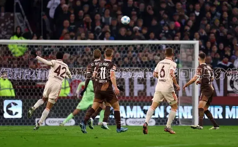 绿茵之道：一场高尔夫球赛的精彩回顾与分析