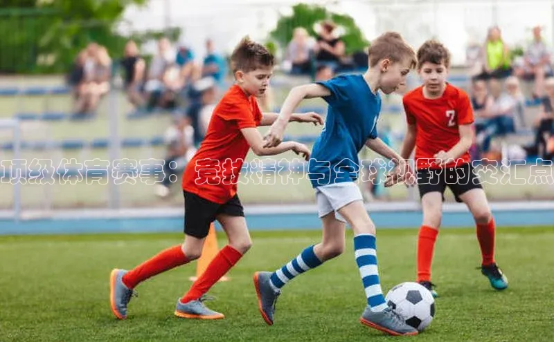 顶级体育赛事：竞技精神与全球视野的交汇点