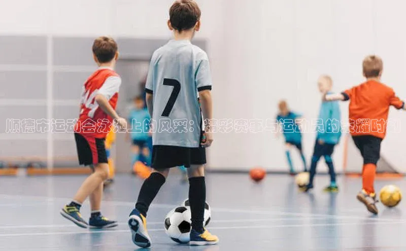 顺德市运动会泳池上的风采：精彩赛事与运动员的荣耀时刻