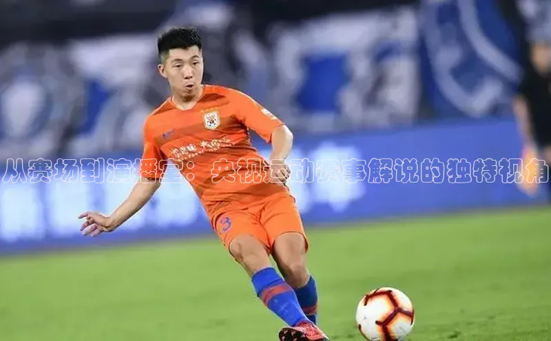 从赛场到演播室：央视运动赛事解说的独特视角