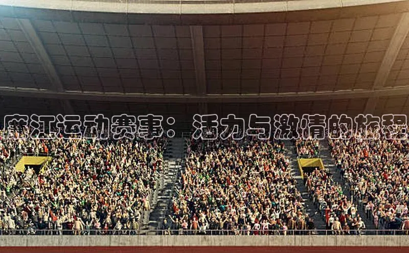 廉江运动赛事：活力与激情的旅程