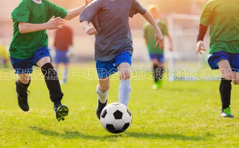 白鹭洲之巅：一场融合传统与现代的体育盛宴