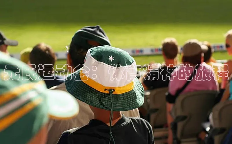 元氏运动会：体育精神的旅程